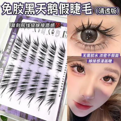 Black Swan False Eyelashes Grafting Feeling False Eyelashes Thick Novice Artifact Beginner Curl Grafting