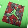 New Jordan Dri FIT T Shirt Men's Green 748213-360
