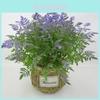 Faux Pteridium Aquilinum Var Latiusculum Plant Decor Set With Realistic Leaf Textures For Garden Photography And Home Decor