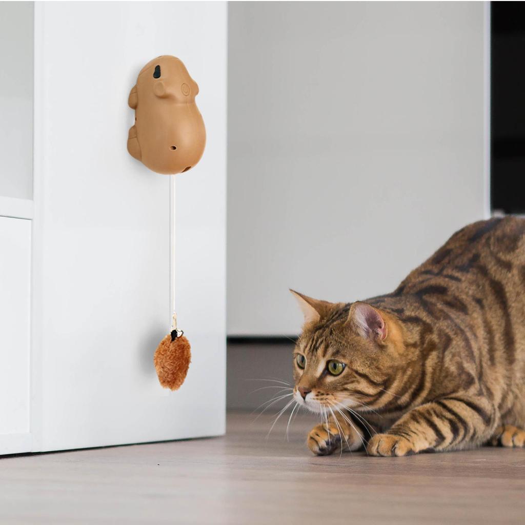 Rechargeable Electric Cat Toy with Motion Sensor Interactive Ball for Kitten & Adult Cats, Indoor Outdoor Play for Home Park