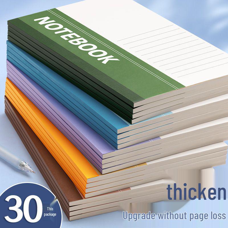 Thickened Ordinary Diary Notebook for Adults