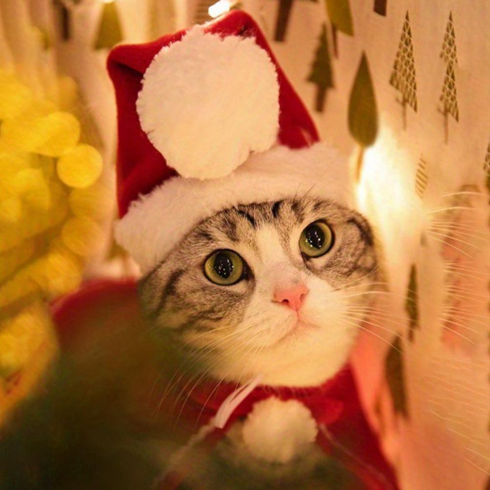 Festive Pet Accessories Cat Dog Christmas Costume Festive Pet Christmas Hat Scarf Set for Dogs Cats Fluffy Winter for Holiday