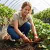 Clip Fissaggio Stolone Fragole, Morsetto Fissaggio Stolone Piante per Allenamento Giardino