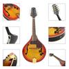 Sunset Spruce Wood Electroacoustic Eight-String Tibetan Mandolin with EQ