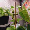 Plant Stand Hydroponic Plants Pothos Ivy Lucky Bamboo Succulents Cartoon Holder with Clamp Design Indoor Garden Decor