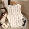 Vintage Ultra-thin Vest Streetwear 2024 New Autumn Winter Fashion Vest Warm Casual Buttons Cotton-padded Jacket Female