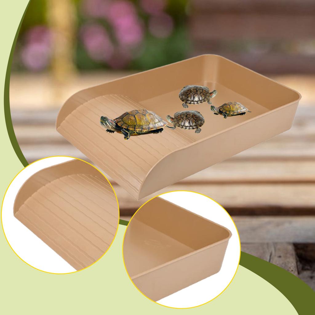 Reptile Bathing Pool with Ramp Reptile Food Water Bowl for Frog Turtle Gecko Tortoise Food Dish Reptile Food Water Bowl
