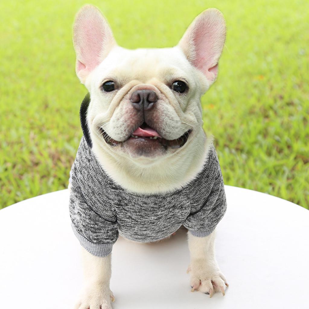Hooded Winter Dog Sweatshirt Blouse For Small Medium Dog