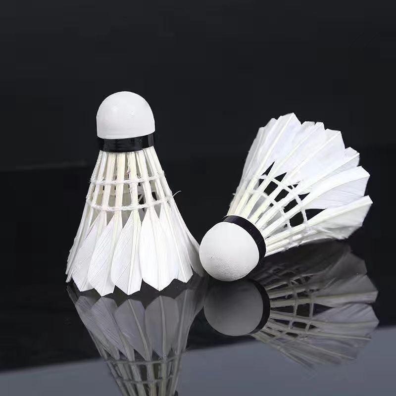 12pcs Badminton Shuttlecocks Professional White High Speed Duck Feather Badminton Ball for Game Training Sport Practice Youth
