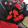 Hutao Cosplay Donna Costume di Halloween Vestiti Anime Per Donne Disfraz Mujer Adulta Per Adulti Ropa Para Hu Tao Outfits