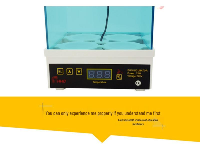 Compact 4-Egg Mini Incubator for Chickens and Birds