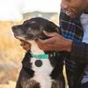 Mini Dog GPS Bluetooth5.0 Tracker Anti-Lost Device Round Anti-Lost Device Pet Kids Bag Wallet Tracking Smart Finder Locator