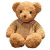 Brown Bear Toy Princess Plush Doll A Bear In a Sweater A Girl's Birthday Present Boy's Couch Pillow Bear Doll 30cm and 40cm