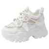 Fashion Breathable Mesh Platform Sneakers Women Spring Thick Bottom Non-Slip Casual Shoes Woman Lace-Up Chunky Sole Sports Shoes Ladies