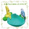 Hyack Bird Bathtub Shower Faucet with External Circulating Water Play and Bath for Parakeets (Pink)