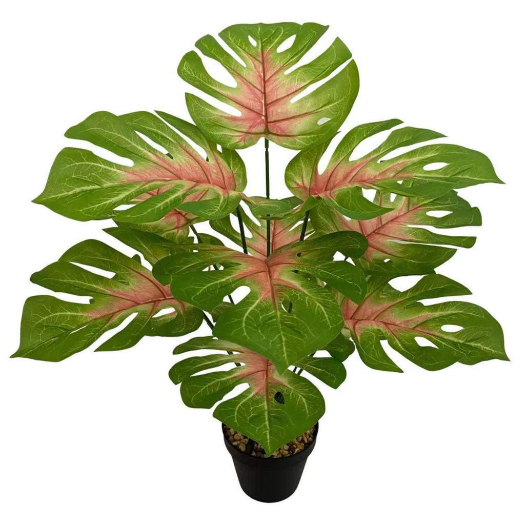 Nordic Style Variegated Monstera: Potted Plant for Home & Garden Decor
