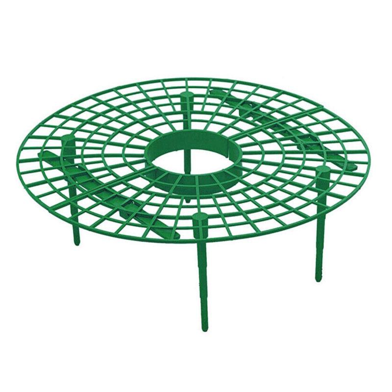 Strawberry Planting Tray Stand - Anti-Rot Fruit Support for Home Horticulture