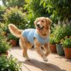 Sleeveless Cat Recovery Suit Breathable Dog Jumpsuit Comfortable Cat Weaning Suit  Daily Wear