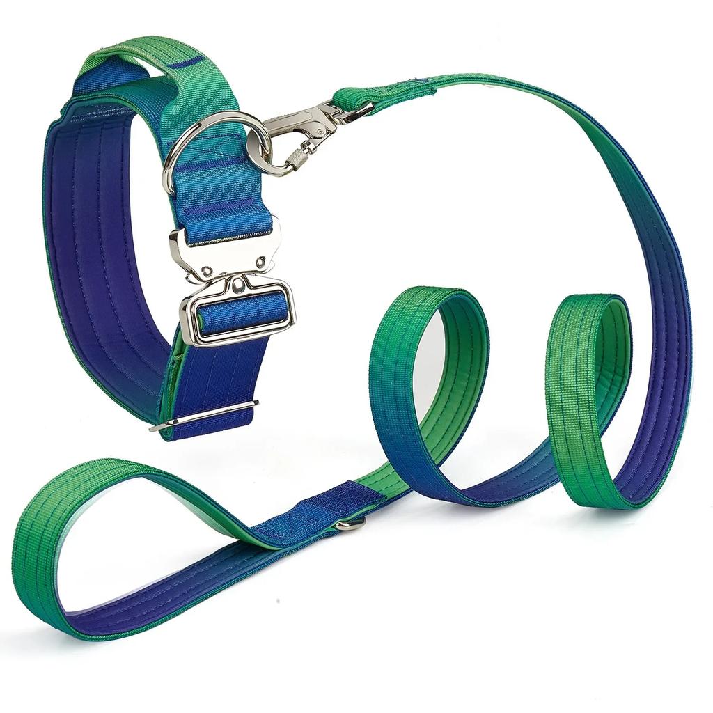 5MM Hundeleinen-Set, schrittweiser Wechsel, doppeltes Nylonhalsband, mittelgroße und große Hunde, Heimtierbedarf, Trainingsseil, Zubehör für große Hunde