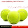 Tenis – Tenis Topları