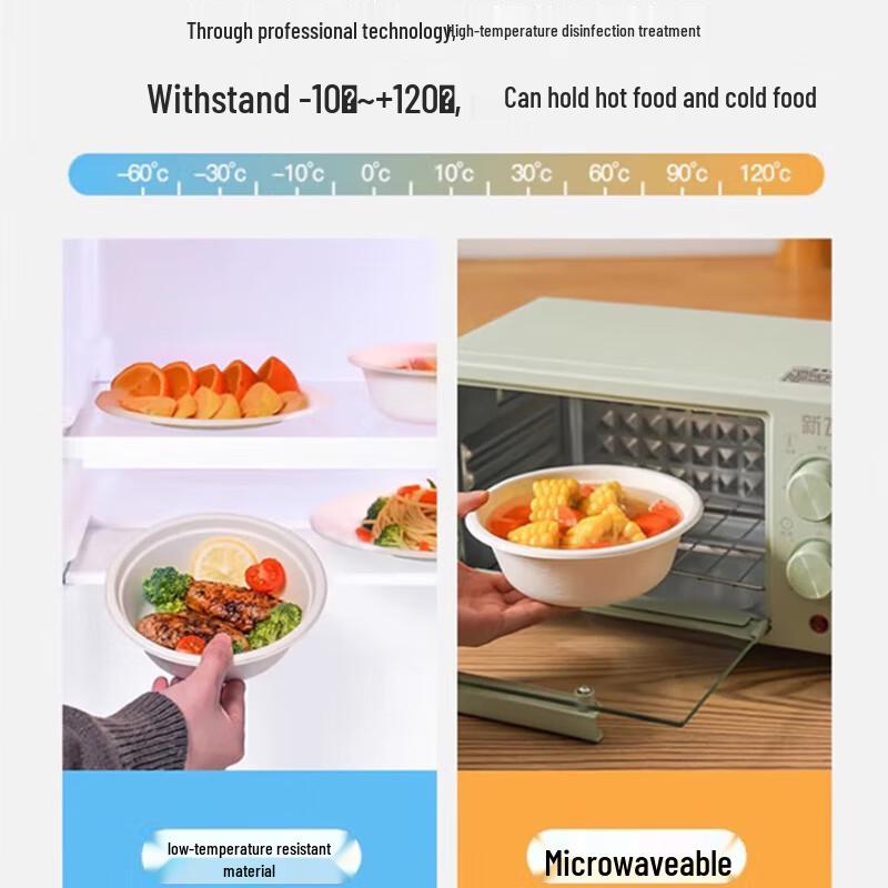 Eco-Friendly Disposable Paper Plates & Bowls