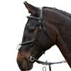 Whitaker Eastwood Mexican Leather Horse Bridle With Reins