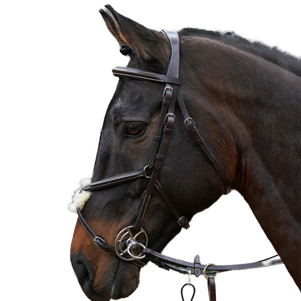 Whitaker Eastwood Mexican Leather Horse Bridle With Reins