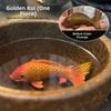 Heat Sensitive Tea Play Decoration Resin Koi Fish Tea Pet  for Kung Fu Tea Lovers Gifts