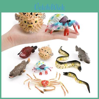 Meereslebewesen PVC Modell Set Mit Realistischem Design Für Aquarium Dekoration Und Sammler