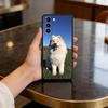 Süße Haustier Hund Samojede Hülle für Samsung Galaxy S21 S25 FE S24 S23 Ultra S20 S9 S22 Plus S10 TPU Hülle
