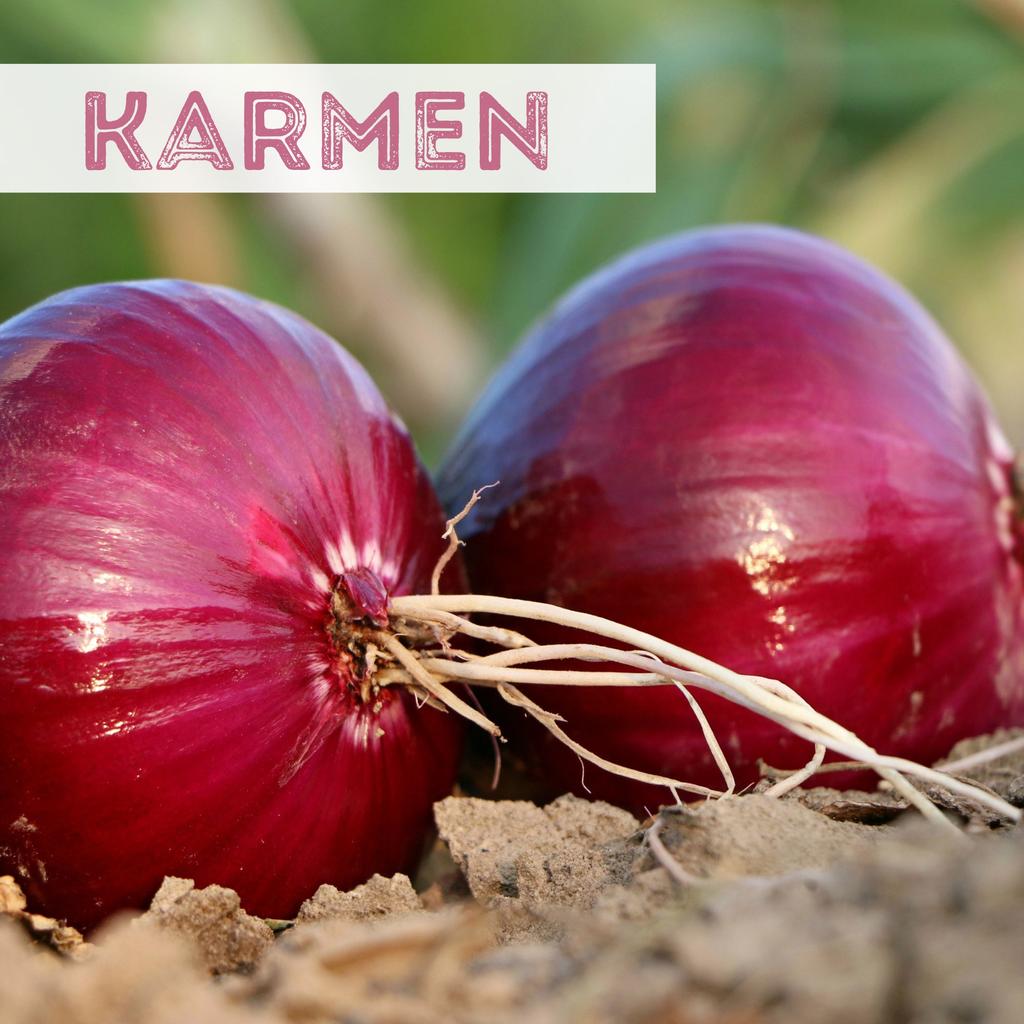 Uienzadenset / 9 populaire variëteiten / biologisch / niet-GMO