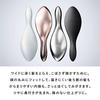 ReFa AILE BRUSH (Silver)