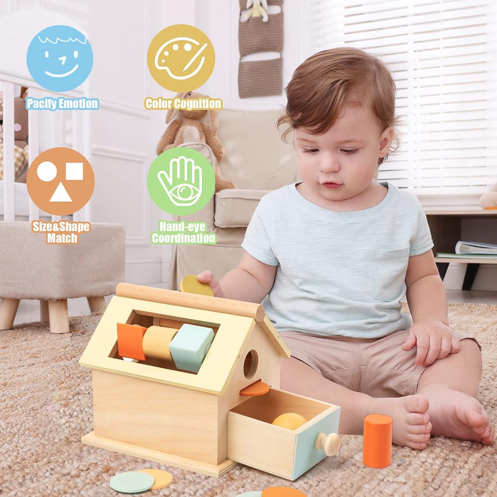 Montessori Wooden Toys 5 In 1 Object Permanence Box Ball Coin Drop Toy House Rainbow Spinning Drum&Shape Sorter for Toddlers