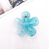 Large Frosted Flower Claw Clip - Candy Color Five-Petal Hair Clip