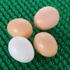 Washable Hen Nest Box Pads Rectangular Chicken Cooping Mat Practical Egg Laying Mats  Brooder Box