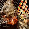 20pcs 20/25/30cm Roast Goose Needle Reusable BBQ Skewers Stainless Steel Barbecue Skewer  Outdoor
