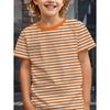 Children's Clothing Solid Color Stripes 3D Print Casual Vintage Short Sleeved T-Shirt Summer Round Neck T-Shirts for Children
