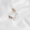 S925 Silver Needle Pearl Temperament Diamond Earrings Simple Small Delicate Internet celebrity Long Pendant Earrings Korean Earrings