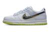 Dunk Low GS '3D Swoosh' DV3478-100