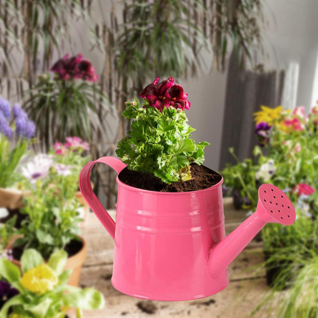 Mini Watering Can Flower Pot 24.4 X 11.4 Cm Flower Container for Patio Bathroom