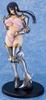Daiki Industry Walkure Romanze Ayako Hiiragi Scale PVC Complete Figure Retell 1/6 Pre-painted