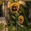 Halloween Lawn Decoration Sunflower Skull Ornament, Theme Garden Decor, Potted Resin Flower Pot Plant Waterproof Outdoor Decoration, for Patio