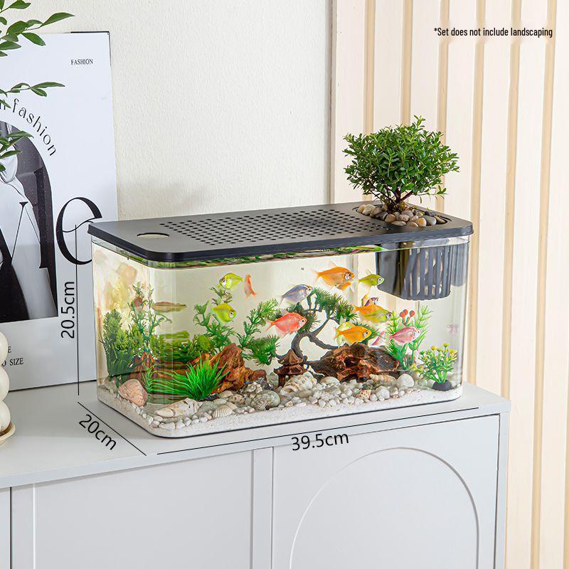 Transparent Plastic Desktop Aquarium: Small Ecological Fish Tank for Goldfish, Ideal for Living Room or Table Landscaping