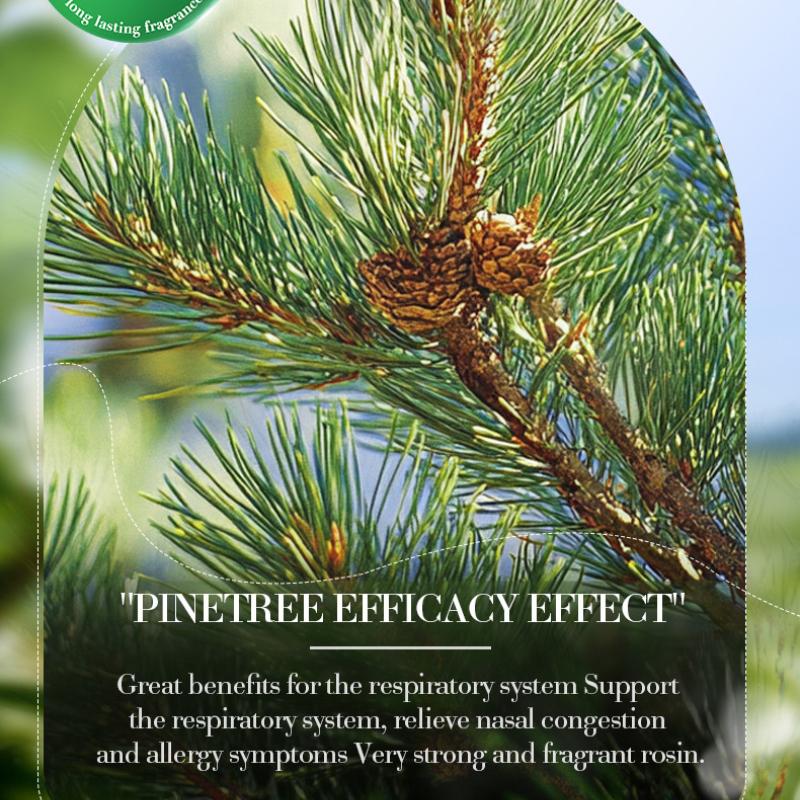 Botanischer Duft ätherisches Öl, Kiefer nährende Haut Körper Serum