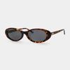 Bonikeullaideu Pop Life Tortoise & Black Lens
