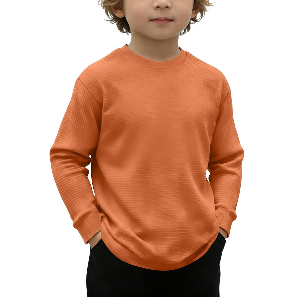 Children's Printed Long Sleeve O-Neck Top Daily Casual T-shirt