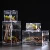 Acrylic Transparent Reptile Terrarium Breeding Box Turtle Cage Nano Arboreal Tarantula Enclosure Dearded Dragon Reptiles Habitat