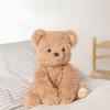 William The Plush Sitting Brown Teddy Bear 22 Cm