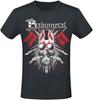 Üst giysisi – T-shirtler