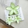Set di pinze per capelli a forma di frangipani: Accessori per Capelli Floreali in Finto Marmo per Vacanze alla Moda